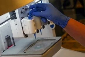 German scientists create see-through human organs