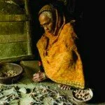 বুড়ো গাছের পাতায় সবুজ কিন্তু আজও মাতায়