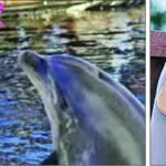জীবজন্তুর সঙ্গে আজগুবি বিয়ে