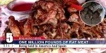 Million-Pounds-Of-Rat-Meat-Being-Sold-As-Boneless-Chichen-Wings-In-U.S-And-Spain-2